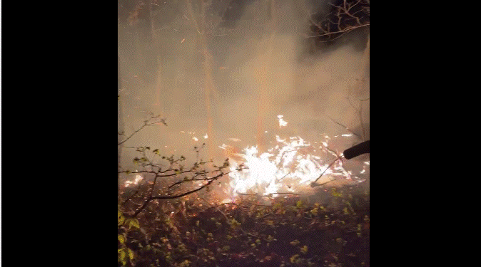 Përfshihen nga zjarri malet e Hajvalisë