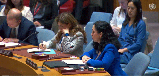 Joseph: Osmani e mundi Vuçiqin në Këshill të Sigurimit