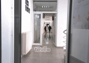 Rriten rastet e alergjisë në polen, mjekët tregojnë simptomat dhe trajtimin