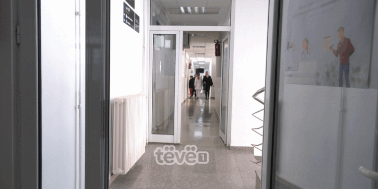 Rriten rastet e alergjisë në polen, mjekët tregojnë simptomat dhe trajtimin