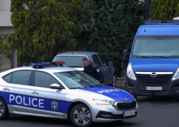 Szunyog: Po e vëzhgojmë votimin me 17 ekipe e rreth 60 persona në terren