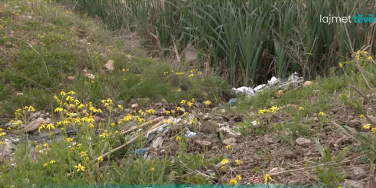 Mall për tokën bujqësore