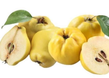 Çfarë duhet të dini për ftoin