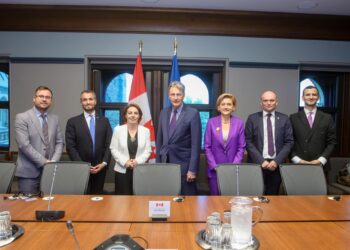 Gërvalla: Profesionalizmi i ushtrisë së Kosovës është rezultat i bashkëpunimit me NATO-n