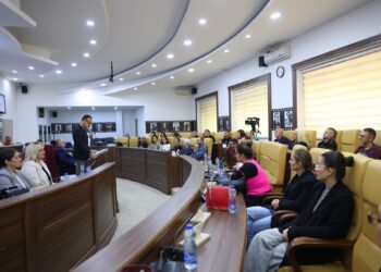 113 mijë euro subvencionim për bizneset e reja në Gjilan