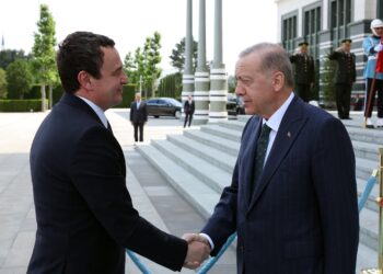 Kurti tregon çka biseduan në takim me Erdoganin