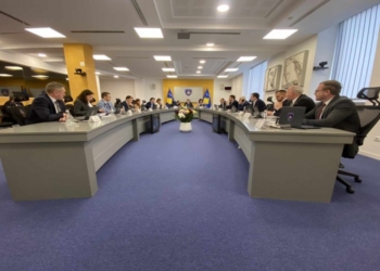 Qeveria shpërbën Ndërmarrjen e Re Energjetike të Kosovës