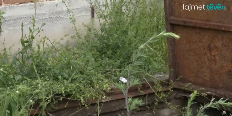 Bunkeri sekret në Makovc i ndërtuar nga ish-pjesëtari i UÇK-së