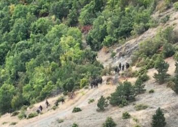 Grabiten e dhunohen nënë e bir në Gjilan