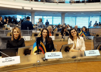 Musliu-Shoshi bashkë me Bogujevcin po marrin pjesë në takimin e APKiE-së