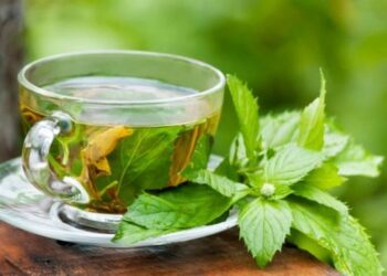 Zgjidhja më e lehtë e eliminimit të fryrjes së barkut