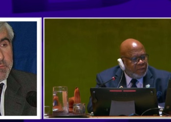 Balic: Rezoluta për gjenocidin në Srebrenicë s’është fitore vetëm për Bosnjën