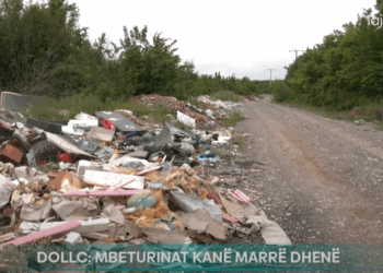 Mbeturinat në Dollc marrin dhenë, drejtori i inspeksionit thotë se po ndikojnë gjobat e ulta