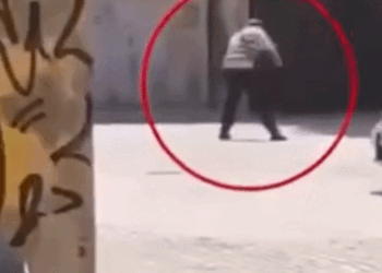 Arrestohet pronari, i cili e grushtoi keq qenin e tij në mes të Prishtinës