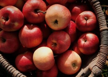 Këto janë ushqimet ideale para gjumit