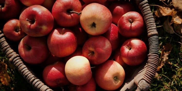 Këto janë ushqimet ideale para gjumit