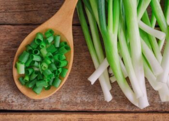 Qepët e reja (pranverore) kanë shumë rëndësi për diabetikët