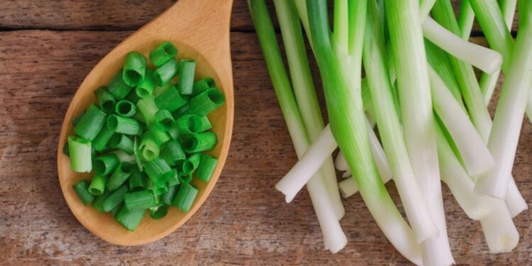 Qepët e reja (pranverore) kanë shumë rëndësi për diabetikët