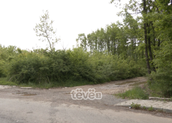 Në një fshat në Ferizaj dyshohet se u dhunua një 14 vjeçare nga shoferi i autobusit që transportonte nxënës