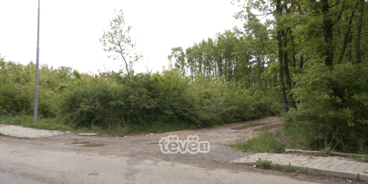 Në një fshat në Ferizaj dyshohet se u dhunua një 14 vjeçare nga shoferi i autobusit që transportonte nxënës