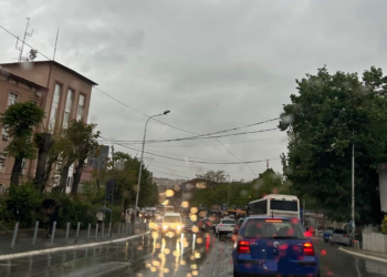 Reshjet e shiut, Policia del me apel për shoferët