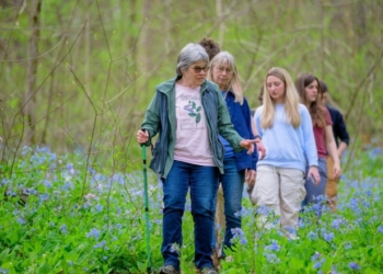 Shkencëtarët zbuluan se sa orë në ditë duhet të ulemi, të flemë, të qëndrojmë në këmbë dhe të ushtrohemi