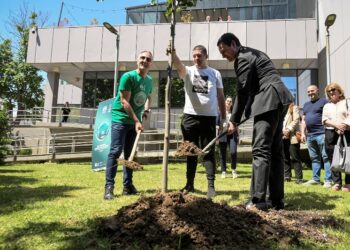 Kurti dhe Presidenti i KOK-ut mbollën“Pemën Olimpike 2024” në oborrin e ndërtesës së Qeverisë