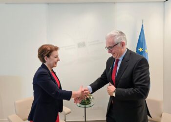 ​Gërvalla takoi Presidentin e Asamblesë Parlamentare të KiE-së