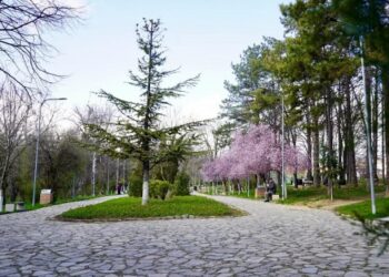 ​Dita Botërore e Mjedisit