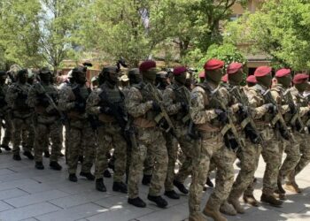 Maqedonci tregon arsyen e mos ekspozimit të mjeteve të rënda