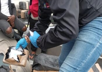 Gjermania kap sasi rekorde të kokainës