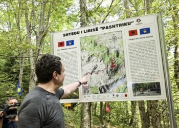 Kurti: Shtetin që e gëzojmë ua kemi borxh dëshmorëve të UÇK-së