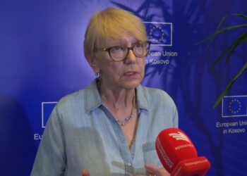 Biserko: Vuçiq nuk e zbaton marrëveshjen e Brukselit, po pret ardhjen në pushtet të Trump