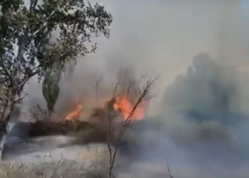 Vatër e madhe zjarri në Fier, rrezikohen banesa dhe biznese