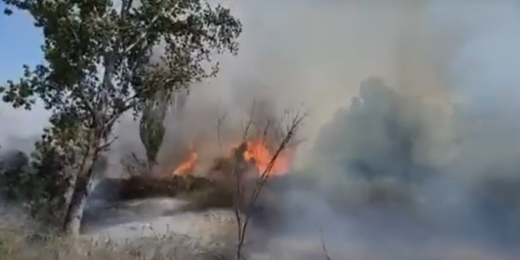 Vatër e madhe zjarri në Fier, rrezikohen banesa dhe biznese