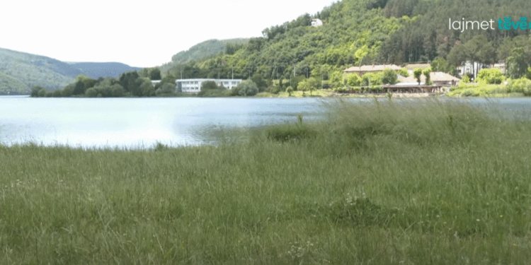 Bari mbulon zonën në afërsi të liqenit të Batllavës
