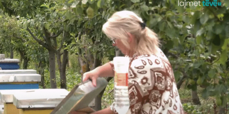 Njihuni me kryetaren e parë grua të tre fshatrave në Obiliq, ajo është edhe bletare