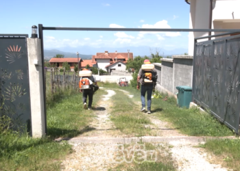 Rreth 600 persona u pickuan nga rriqrat në Malishevë