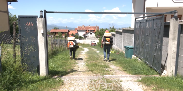 Rreth 600 persona u pickuan nga rriqrat në Malishevë