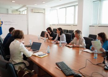 Rizvanolli takon zyrtarin evropian të Energjisë, flasin për situatën me rrymë në Kosovë