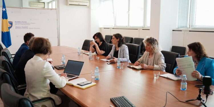 Rizvanolli takon zyrtarin evropian të Energjisë, flasin për situatën me rrymë në Kosovë
