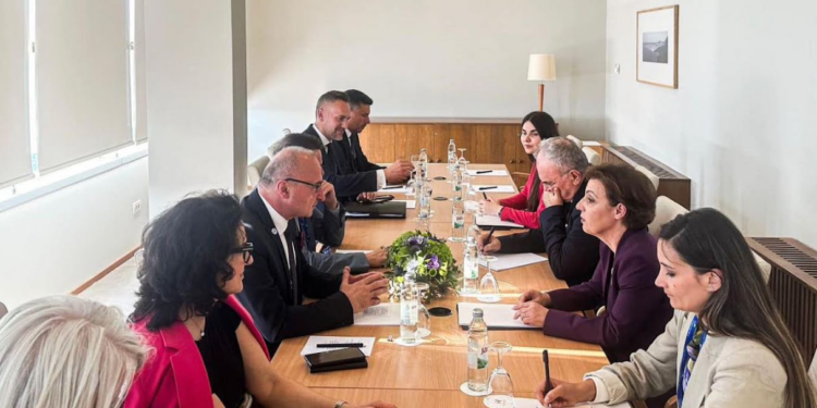 Gërvalla në takim me homologun kroat: Duhet të finalizohet anëtarësimi i Kosovës në KiE