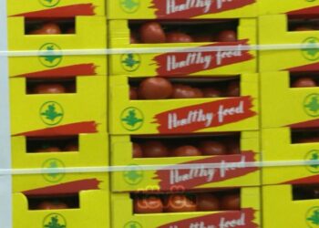 Komuna që prodhon më së shumti domate