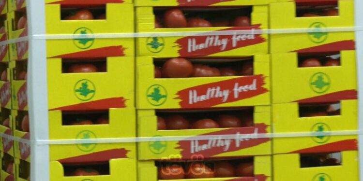 Komuna që prodhon më së shumti domate