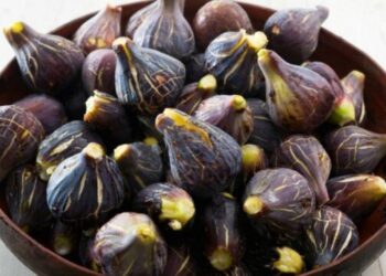 Fiq të freskët, ja pse duhen konsumuar herët në mëngjes