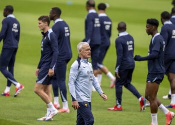 Franca me probleme para Evropianit