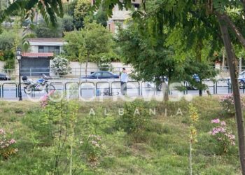 Goditet për vdekje biçiklisti në Tiranë