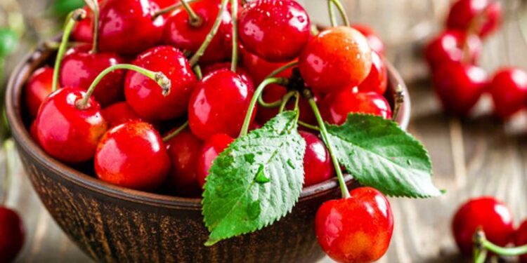 Çfarë i ndodh trupit nëse hani më shumë se 20 qershi në ditë?