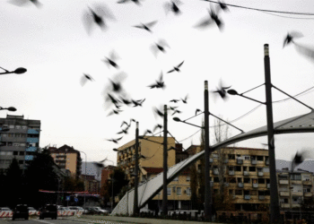 E kujt është përgjegjësia për hapjen e urës së Ibrit?