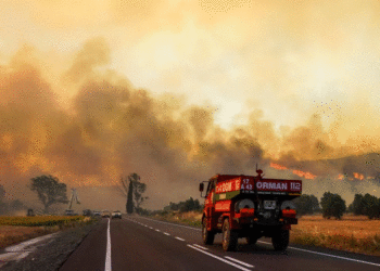 Pesë të vdekur nga zjarret në Turqi